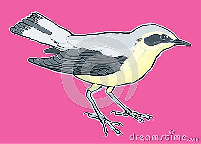 Hand drawn bird vector â€“ stock illustration Vector Illustration